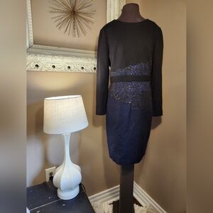 Elegant Ports Wool and Silk Dress Size 6
